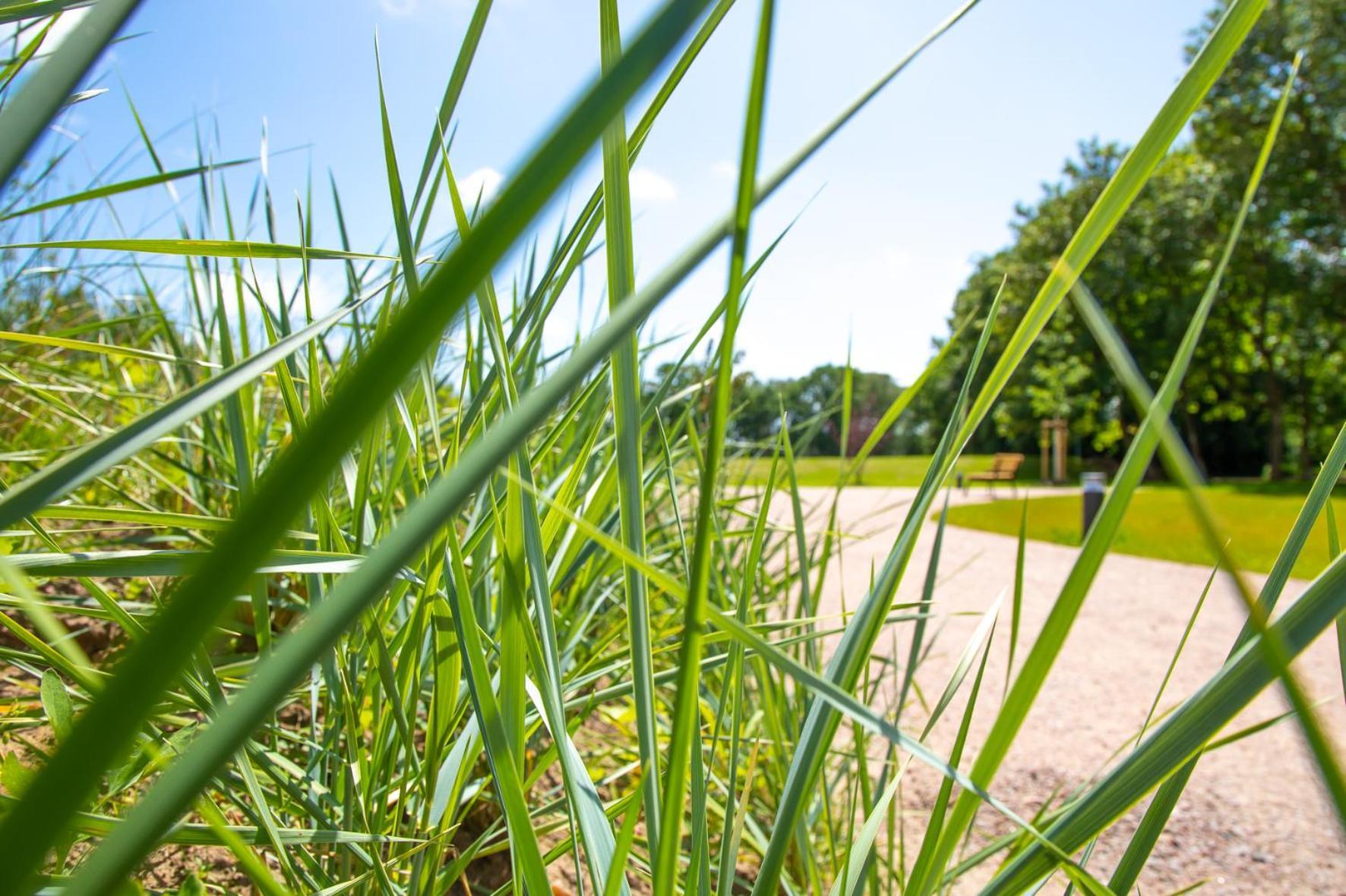 Wohnen am Südstrand - Ferienwohnung 0 4 Wyk auf Föhr Exterior foto