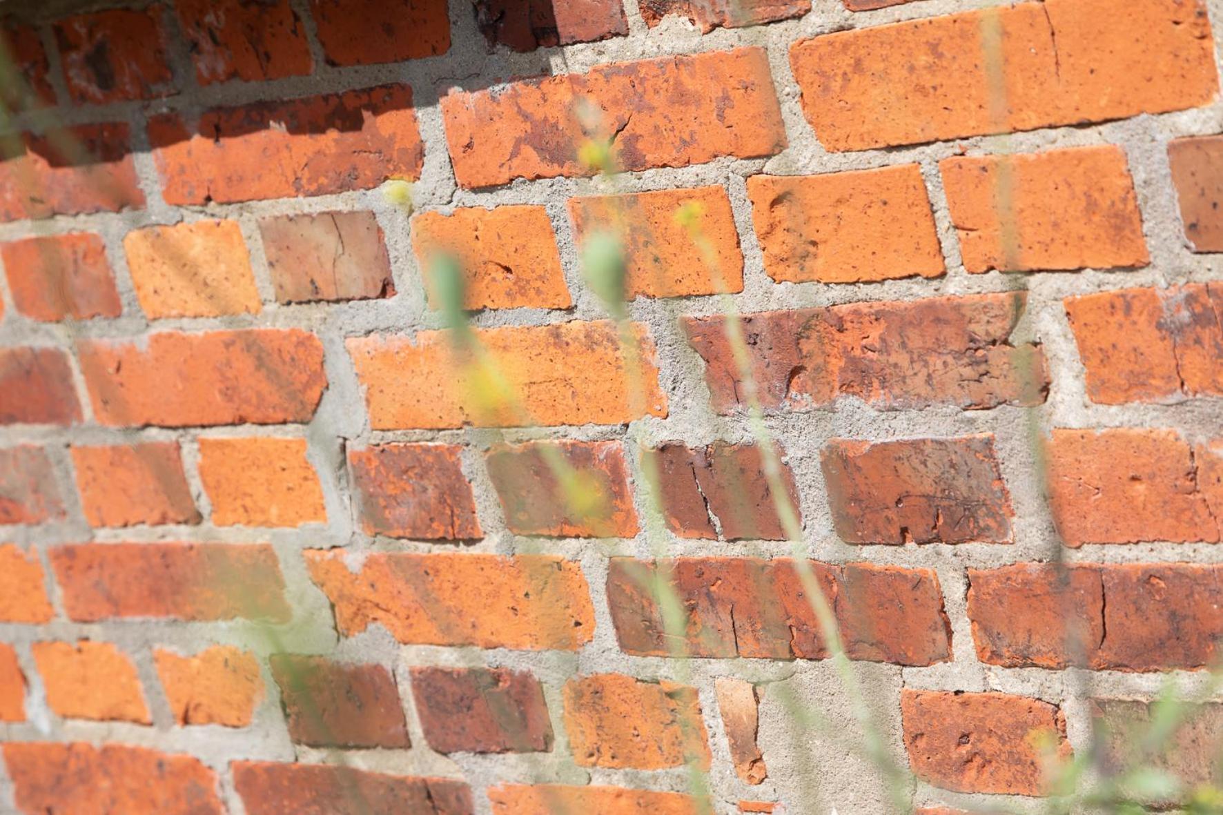 Wohnen am Südstrand - Ferienwohnung 0 4 Wyk auf Föhr Exterior foto