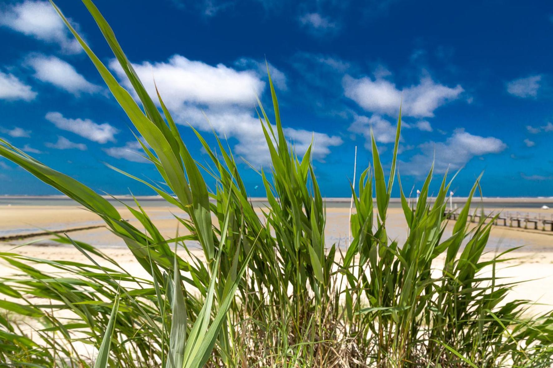 Wohnen am Südstrand - Ferienwohnung 0 4 Wyk auf Föhr Exterior foto
