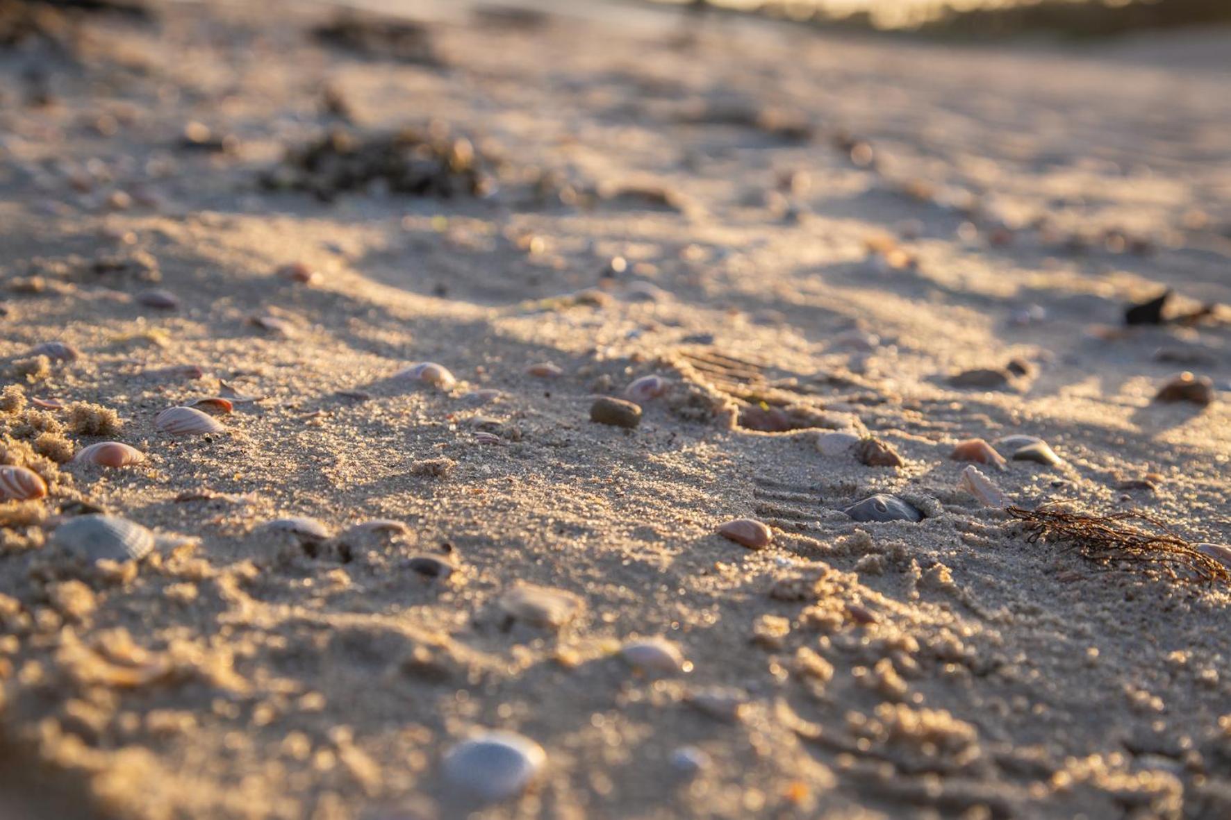 Wohnen am Südstrand - Ferienwohnung 0 4 Wyk auf Föhr Exterior foto